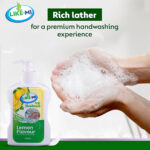 Handwash 250ml - Image 3